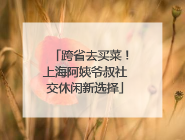 跨省去买菜！上海阿姨爷叔社交休闲新选择
