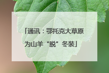 通讯：鄂托克大草原为山羊“脱”冬装