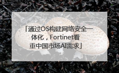 通过OS构建网络安全一体化，Fortinet看重中国市场AI需求