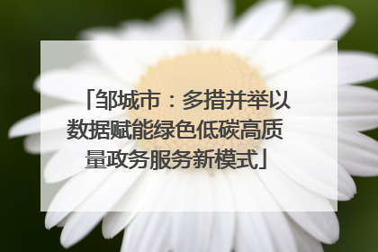 邹城市：多措并举以数据赋能绿色低碳高质量政务服务新模式
