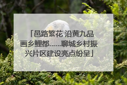 邑路繁花 沿黄九品 画乡鲤都……聊城乡村振兴片区建设亮点纷呈