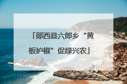 郧西县六郎乡“黄板护椒”促绿兴农