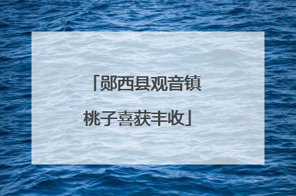 郧西县观音镇桃子喜获丰收