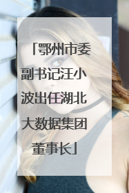 鄂州市委副书记汪小波出任湖北大数据集团董事长