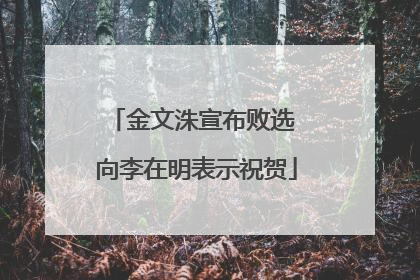 金文洙宣布败选 向李在明表示祝贺