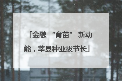金融 “育苗” 新动能，莘县种业拔节长