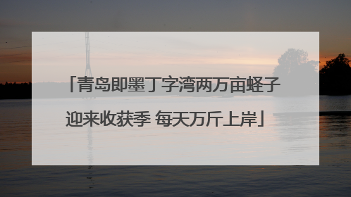 青岛即墨丁字湾两万亩蛏子迎来收获季 每天万斤上岸