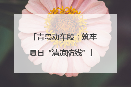 青岛动车段：筑牢夏日“清凉防线”