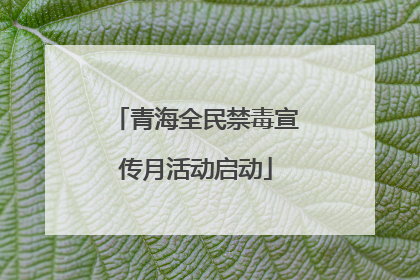 青海全民禁毒宣传月活动启动