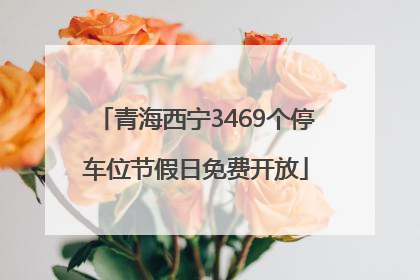 青海西宁3469个停车位节假日免费开放