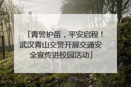 青警护苗，平安启程！武汉青山交警开展交通安全宣传进校园活动