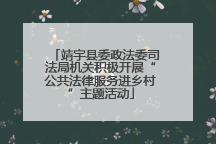 靖宇县委政法委司法局机关积极开展“公共法律服务进乡村”主题活动