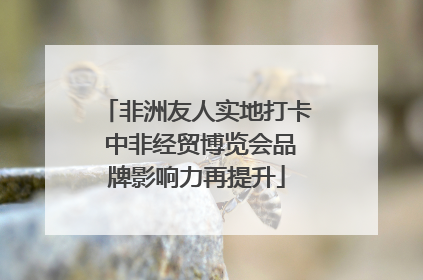 非洲友人实地打卡 中非经贸博览会品牌影响力再提升