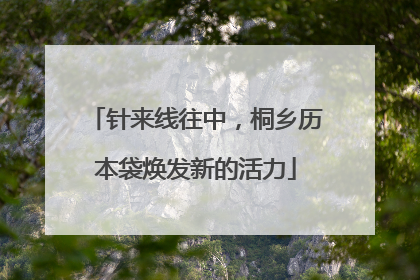 针来线往中，桐乡历本袋焕发新的活力