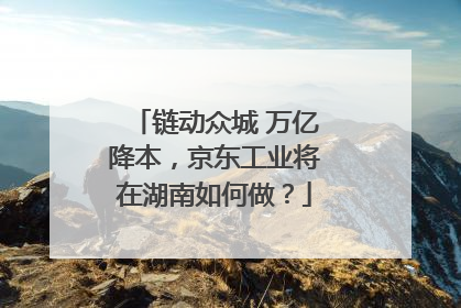 链动众城 万亿降本，京东工业将在湖南如何做？