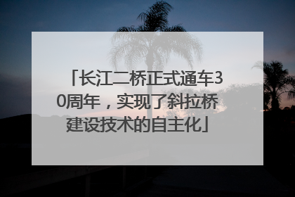 长江二桥正式通车30周年，实现了斜拉桥建设技术的自主化