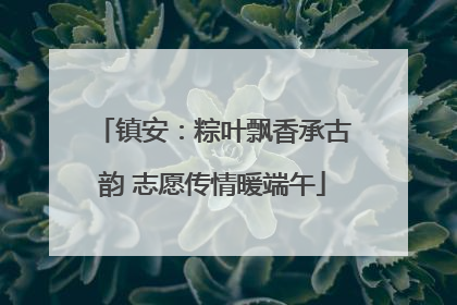镇安：粽叶飘香承古韵 志愿传情暖端午