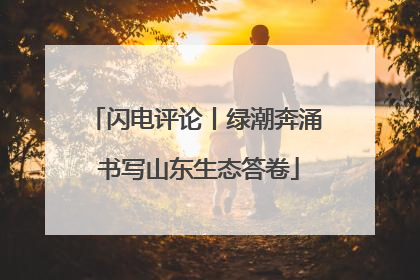 闪电评论丨绿潮奔涌 书写山东生态答卷