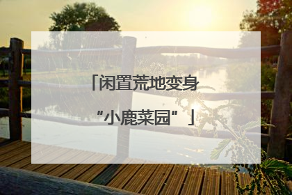 闲置荒地变身“小鹿菜园”