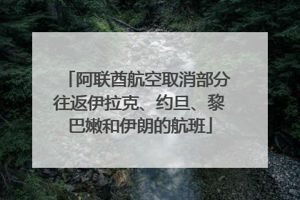 阿联酋航空取消部分往返伊拉克、约旦、黎巴嫩和伊朗的航班