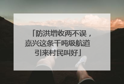 防洪增收两不误，嘉兴这条千吨级航道引来村民叫好