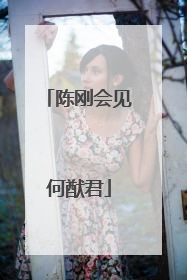 陈刚会见何猷君