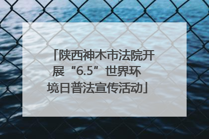 陕西神木市法院开展“6.5”世界环境日普法宣传活动