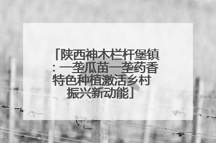陕西神木栏杆堡镇：一垄瓜苗一垄药香 特色种植激活乡村振兴新动能