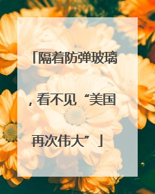 隔着防弹玻璃，看不见“美国再次伟大”