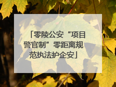 零陵公安“项目警官制”零距离规范执法护企安
