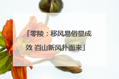 零陵：移风易俗显成效 岿山新风扑面来