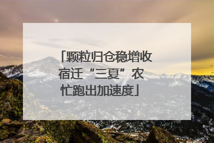 颗粒归仓稳增收 宿迁“三夏”农忙跑出加速度