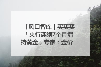 风口智库｜买买买！央行连续7个月增持黄金，专家：金价或仍易涨难跌