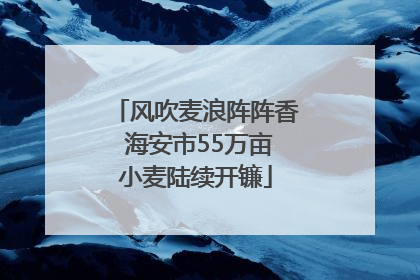 风吹麦浪阵阵香 海安市55万亩小麦陆续开镰