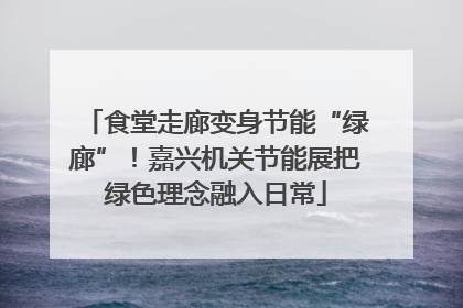 食堂走廊变身节能“绿廊”！嘉兴机关节能展把绿色理念融入日常