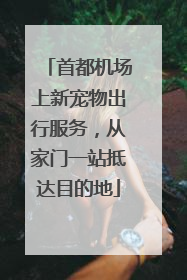 首都机场上新宠物出行服务，从家门一站抵达目的地