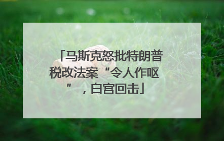 马斯克怒批特朗普税改法案“令人作呕”，白宫回击