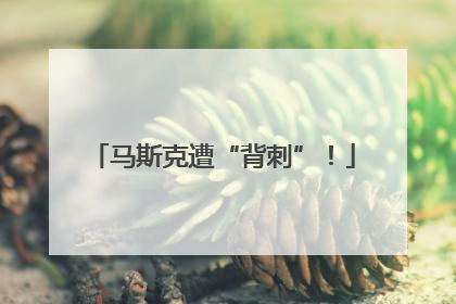 马斯克遭“背刺”！