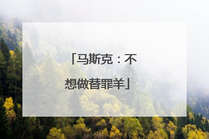 马斯克：不想做替罪羊