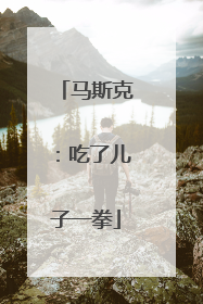 马斯克：吃了儿子一拳