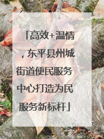 高效+温情，东平县州城街道便民服务中心打造为民服务新标杆