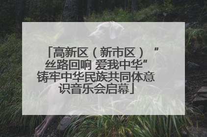 高新区（新市区）“丝路回响 爱我中华”铸牢中华民族共同体意识音乐会启幕