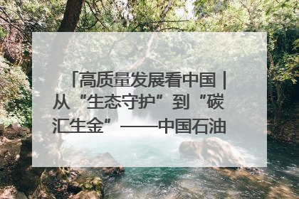 高质量发展看中国｜从“生态守护”到“碳汇生金”——中国石油大庆油田绿色蝶变