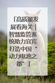 高质量发展看海关｜智慧监管系统助力宜宾打造中国“动力电池之都”