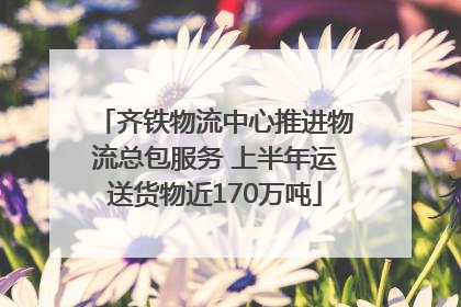 齐铁物流中心推进物流总包服务 上半年运送货物近170万吨
