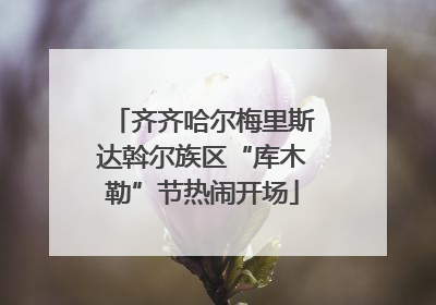 齐齐哈尔梅里斯达斡尔族区“库木勒”节热闹开场