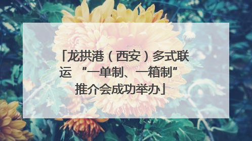 龙拱港（西安）多式联运 “一单制、一箱制” 推介会成功举办