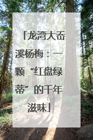 龙湾大岙溪杨梅：一颗“红盘绿蒂”的千年滋味