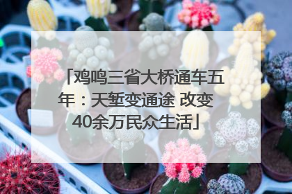 鸡鸣三省大桥通车五年：天堑变通途 改变40余万民众生活