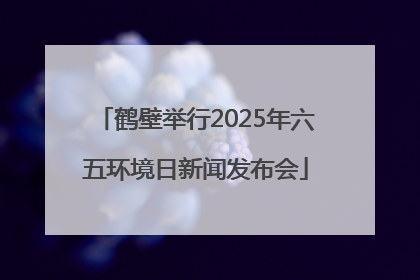 鹤壁举行2025年六五环境日新闻发布会
